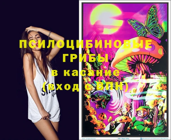 хмурый Приозерск