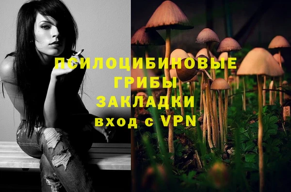 хмурый Приозерск