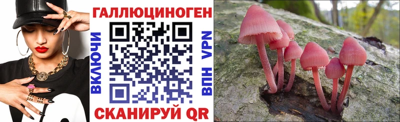 продажа наркотиков Ноябрьск Псилоцибиновые грибы Psilocybe